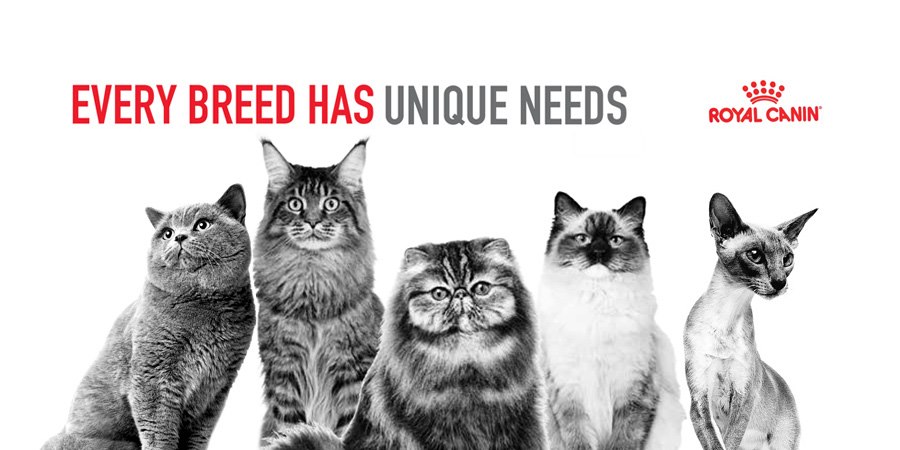 :ROYAL CANIN