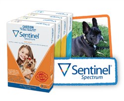 Sentinel Spectrum Tasty Chews