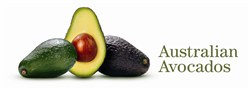 Australian Avocados