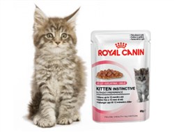 Royal Canin Wet Cat Nutrition