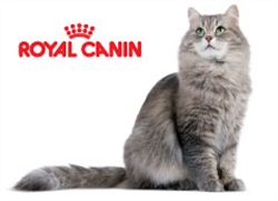 Royal Canin Feline Hair & Skin Care
